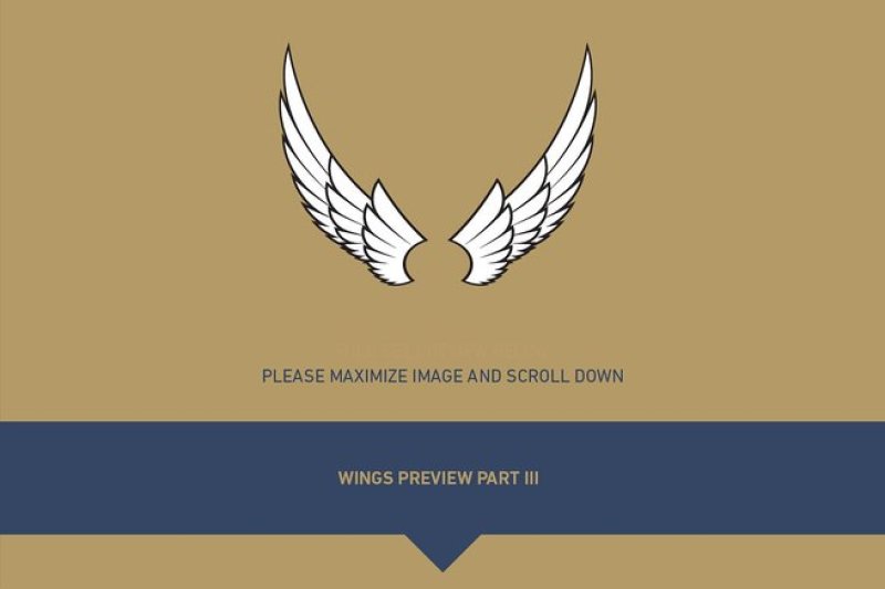 160-pairs-of-vector-wings