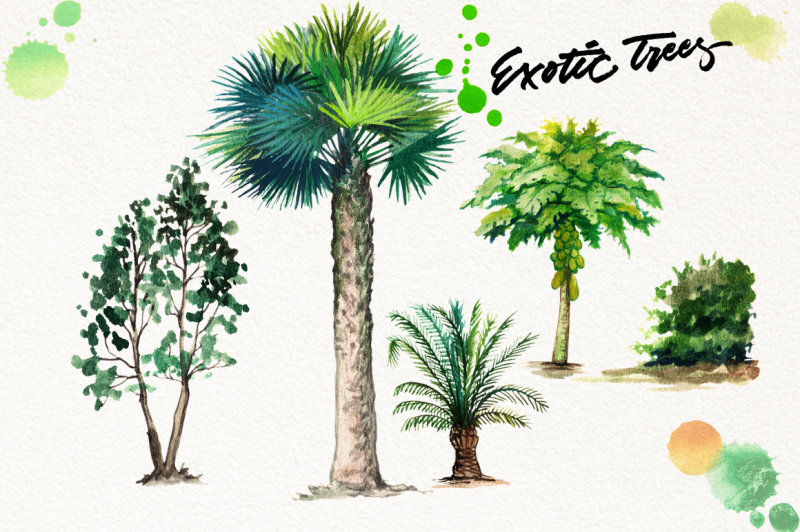 watercolor-exotic-trees