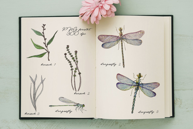 dragonflies-watercolor-set