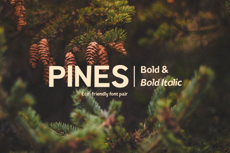 pines-bold-and-pines-bold-italic