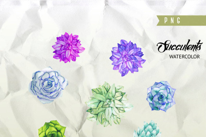 watercolor-succulents-clipart-hand-painted-wedding-diy-elements-plants-printable-instant-download-wedding-bouquet-invitations