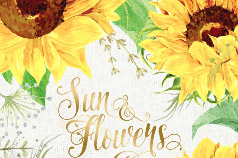 sunflower-watercolor-flower-clipart-separate-elements-hand-painted-diy-clip-art-summer-herb-floral-invitation-greeting-card-png-files