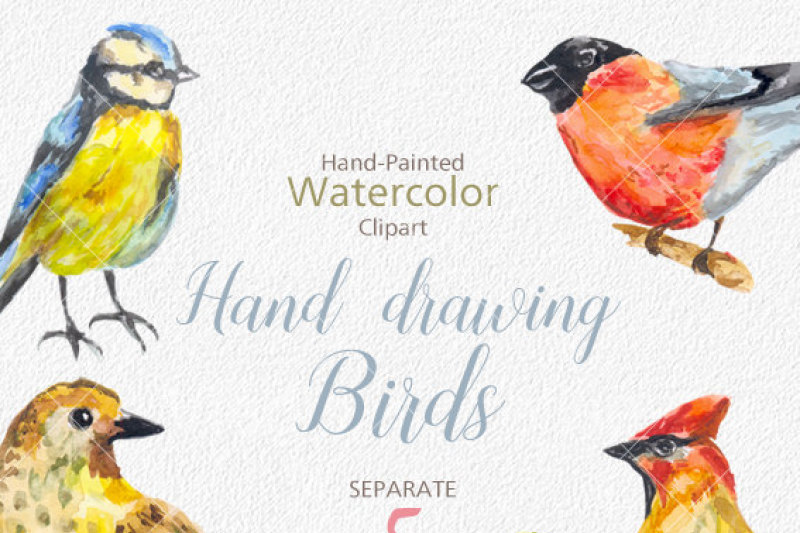 digital-watercolor-birds-clip-art