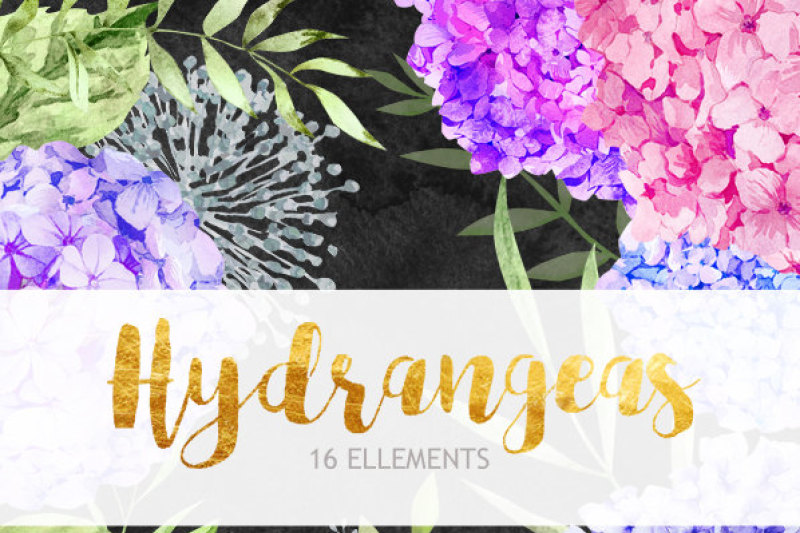 floral-watercolor-photoshop-clipart-spring-blog-design-resource