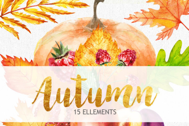 fall-clipart-pumpkin-clipart-autumn-clipart-fall-leaves-clipart-mushroom-clipart-card-templates-watercolor-digital-paper-baby-art