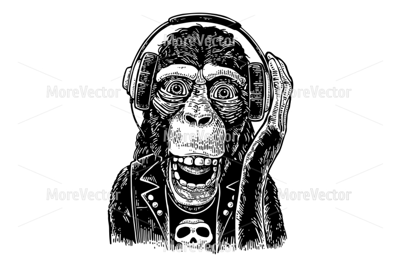 monkey-rocker-in-headphones-and-t-shirt-with-skull