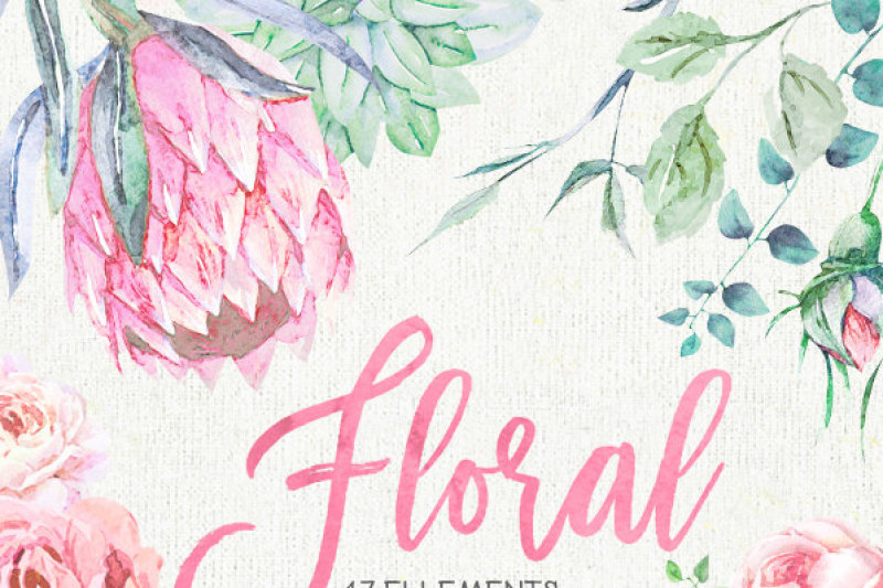 wedding-watercolor-flowers-protea-ranunculus-english-roses-eucalyptus-succulents-handpainted-clipart-invitations-greeting-card