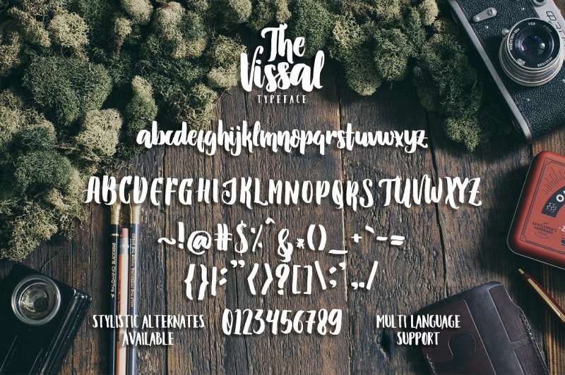 the-vissal-script-brush-logo-font