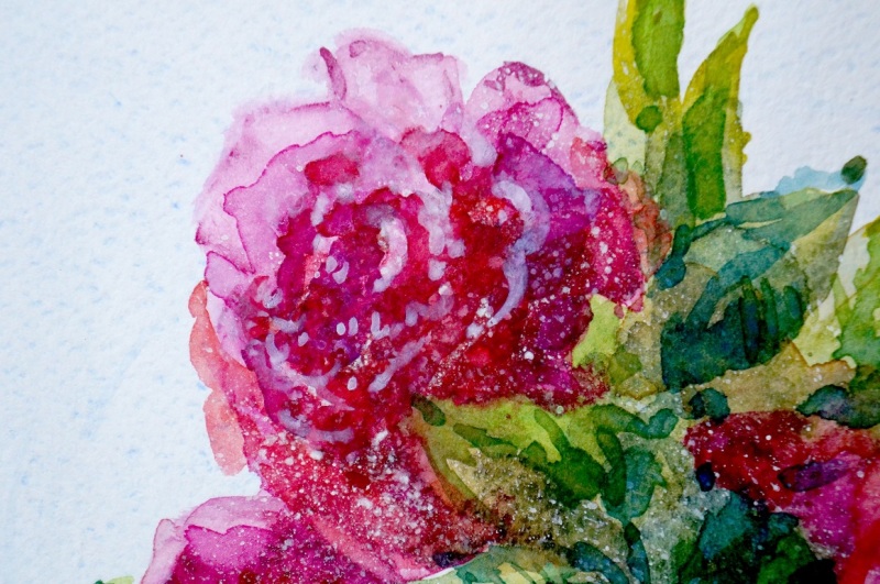 watercolor-wild-rose