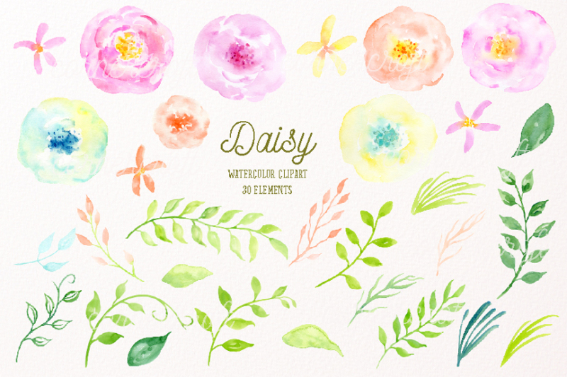 watercolor-clipart-daisy