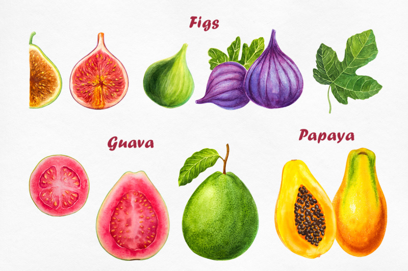 watercolor-fruits-collection