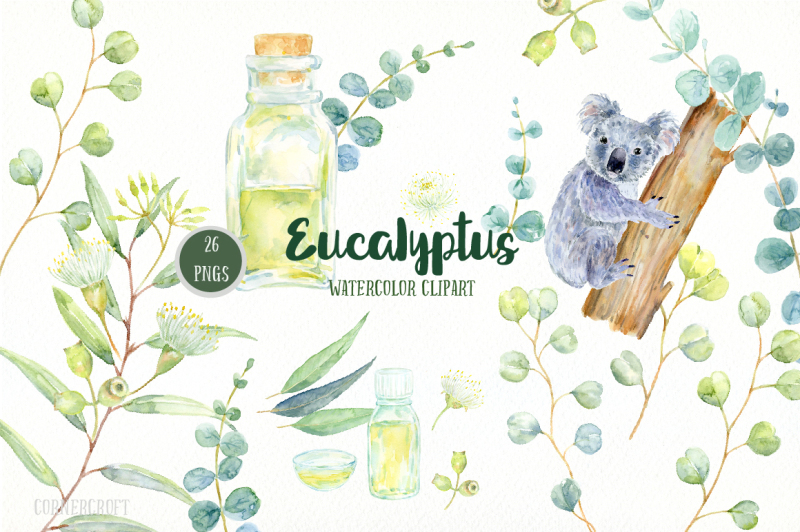 watercolor-clip-art-eucalyptus