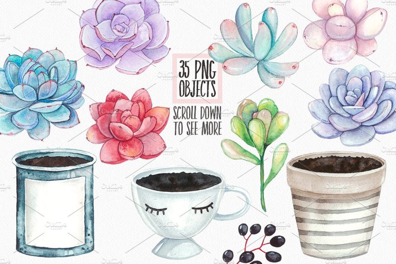 lovely-succulents-watercolor-set