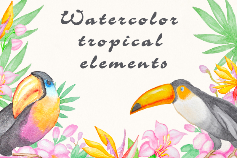 watercolor-tropical-kit