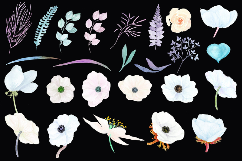 watercolor-white-flowers-clipart