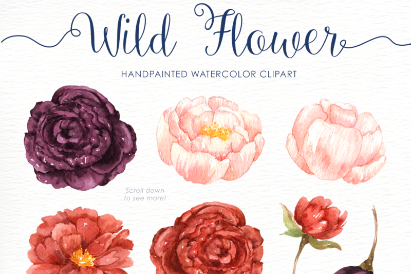 wild-flower-watercolor-clip-arts