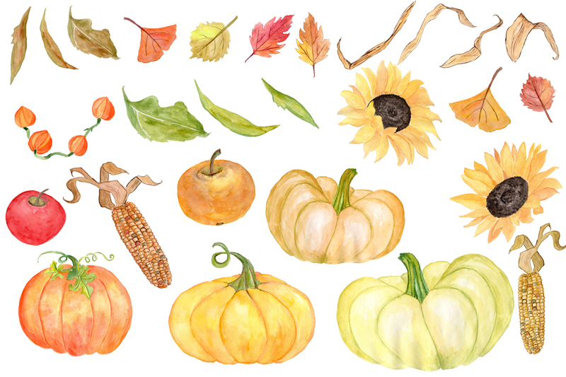 watercolor-pumpkin-clipart