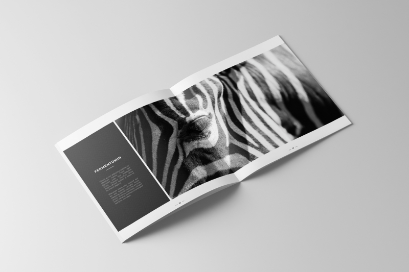 square-portfolio-brochure