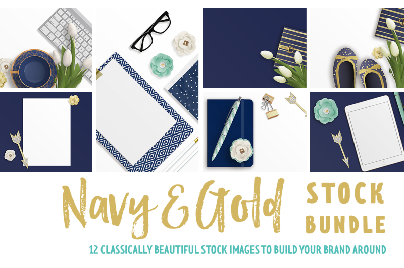 navy-and-gold-stock-bundle