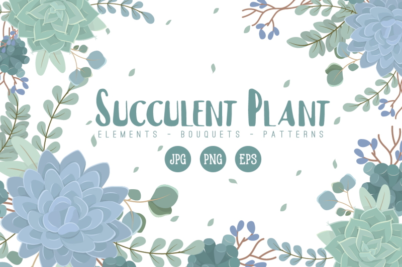 succulent-plant