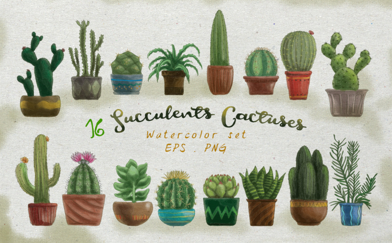 succulents-and-cactuses