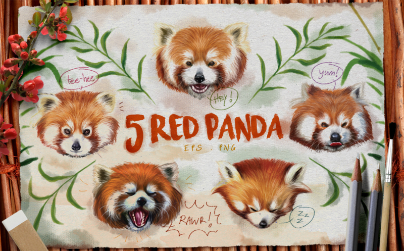 red-panda-watercolor-illustration