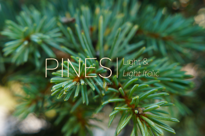 pines-light-and-pines-light-italic