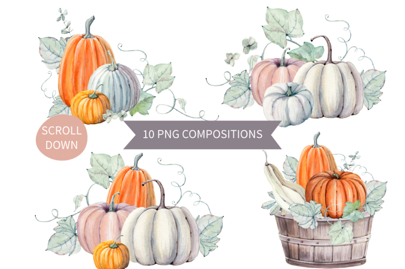 hello-pumpkins-watercolor-set
