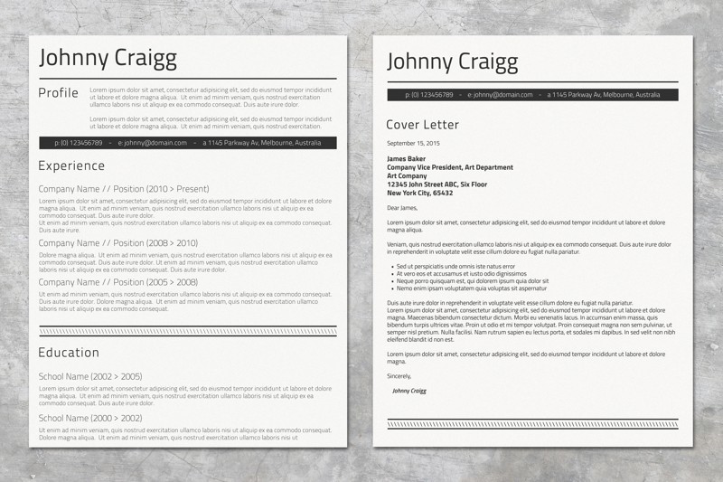 professional-resume-in-ms-word-format