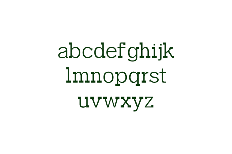 garvin-slab-serif-font-family