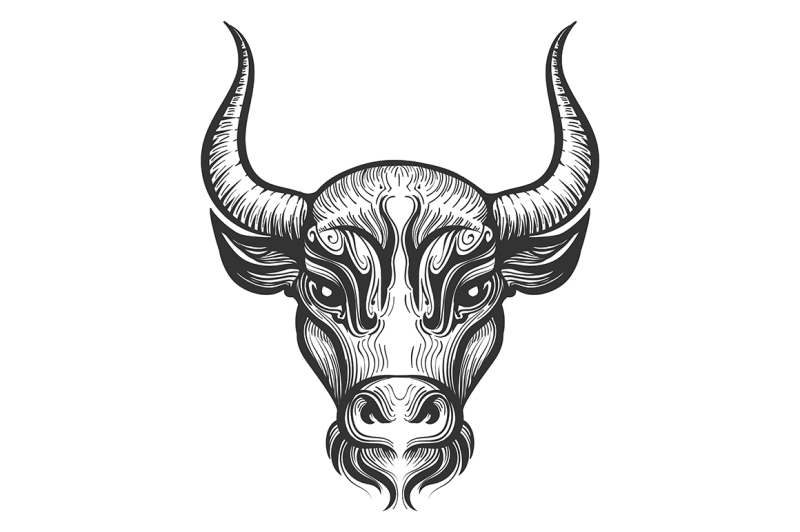 bull-head-engraving-illustration
