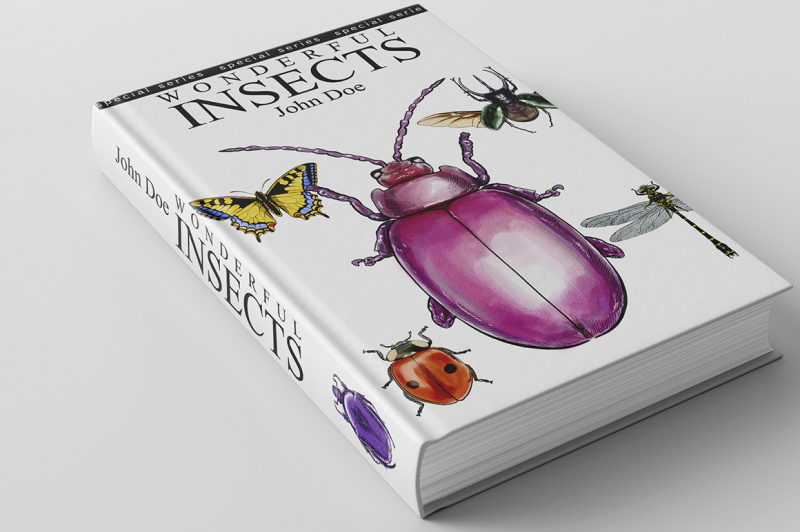 hand-drawn-watercolor-painted-insects
