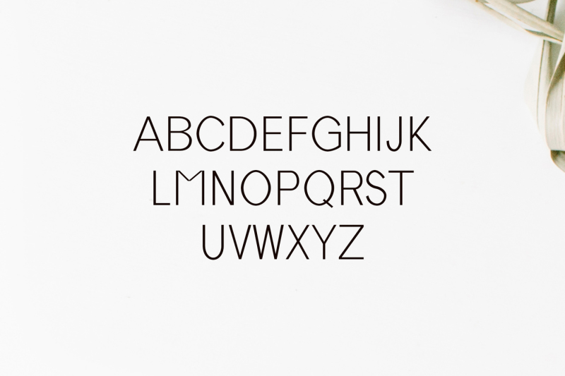 tabner-sans-serif-typeface