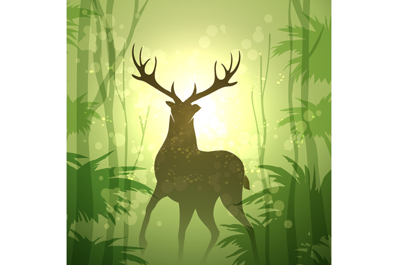 deer-in-a-forest