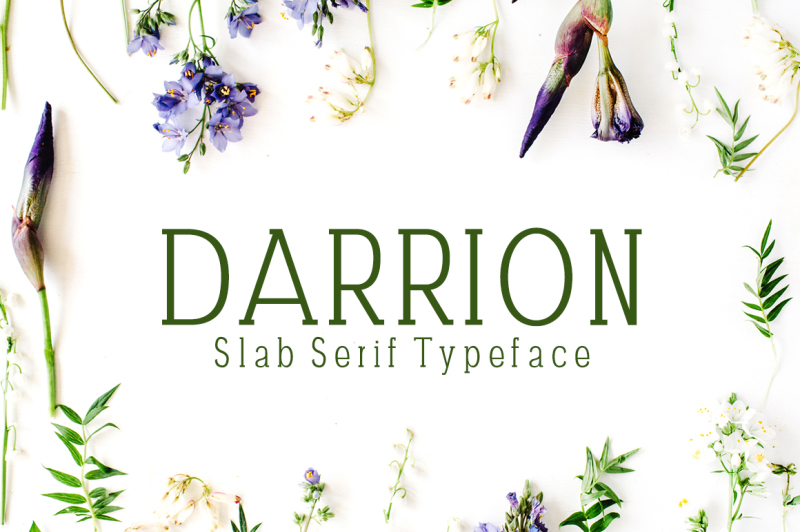 darrion-slab-serif-font-family