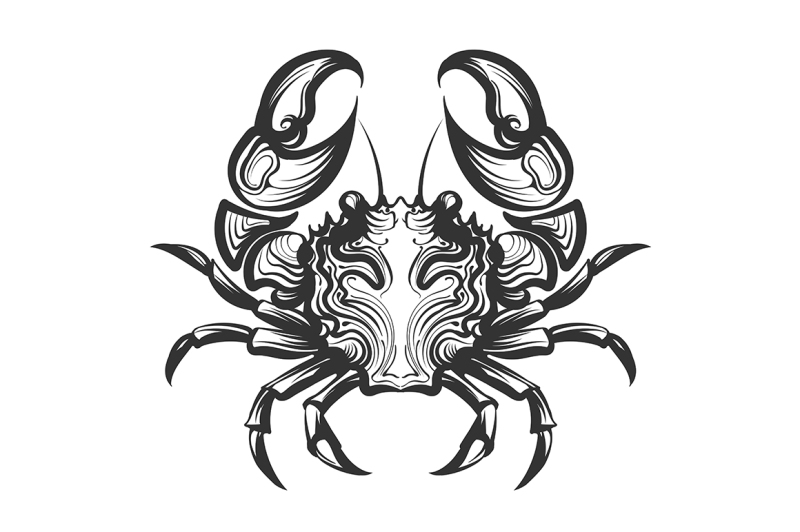 crab-engraving-illustration