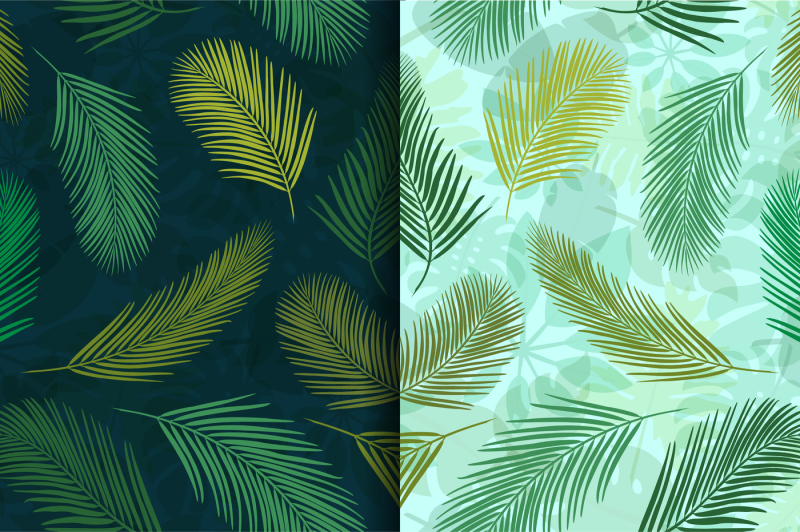 palm-leaves
