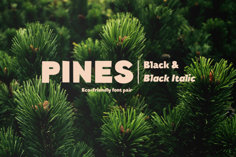 pines-black-and-pines-black-italic