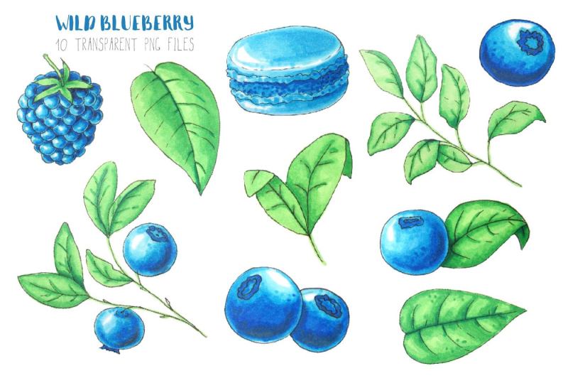 wild-blueberry-font-duo