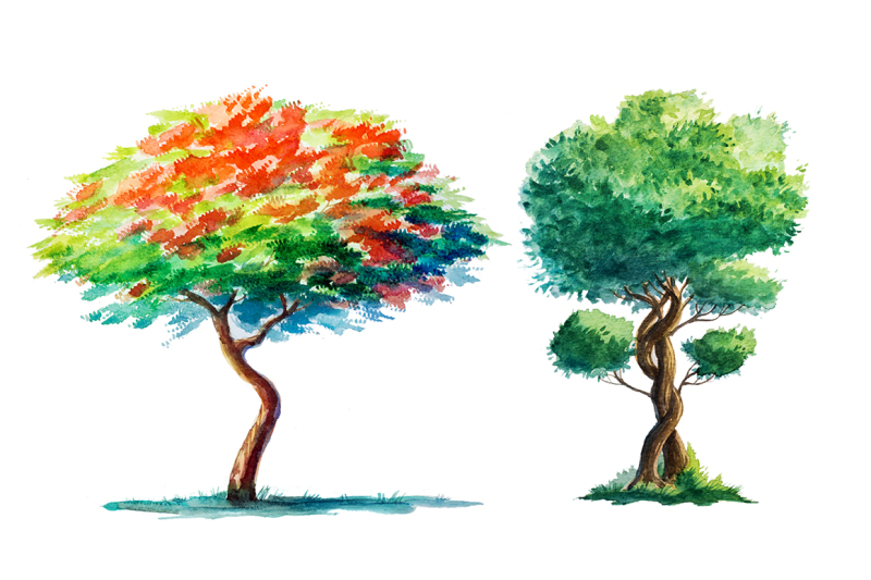watercolor-trees