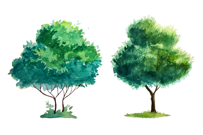 watercolor-trees