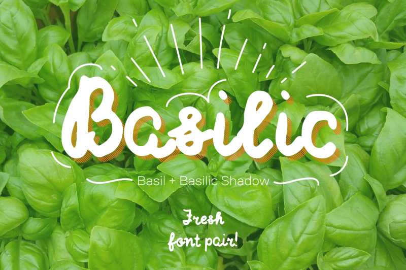 basilic-and-basilic-shadow