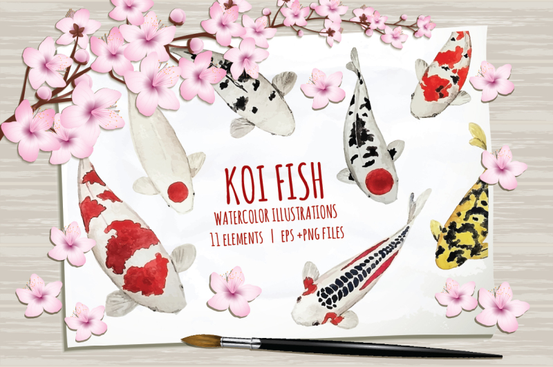 koi-fish-in-watercolor