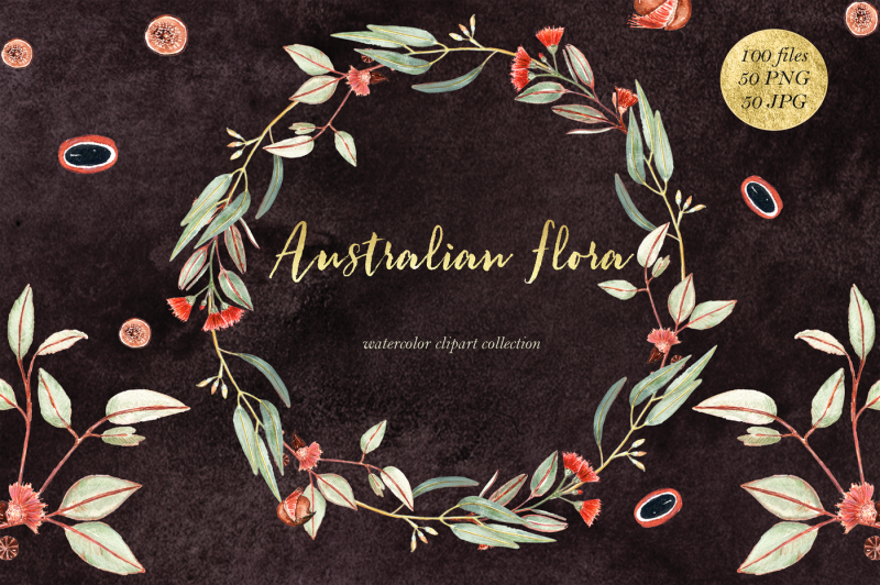 australian-flora-watercolor-clipart