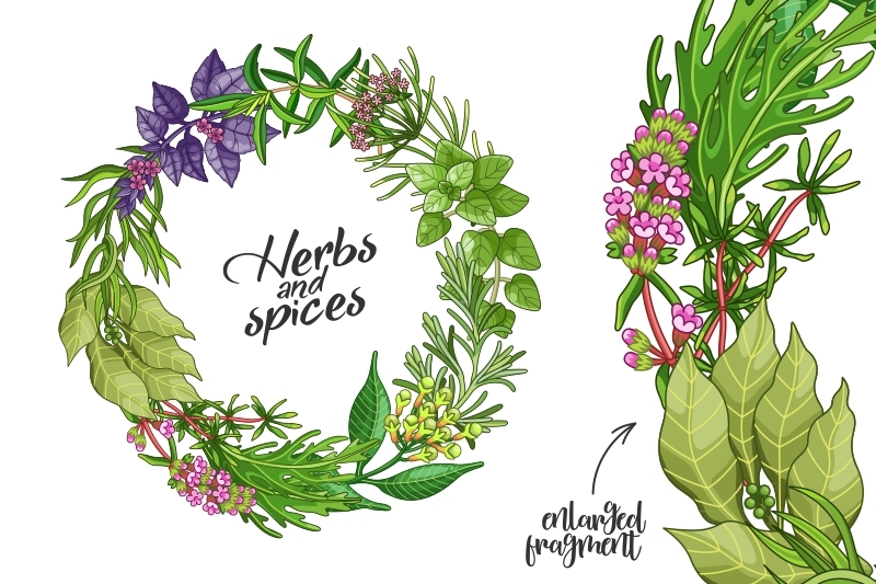 green-spices-and-herbs-templates