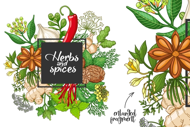hot-spices-and-herbs-templates
