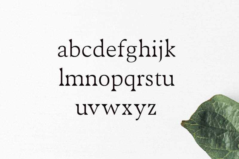 maddex-serif-font-family