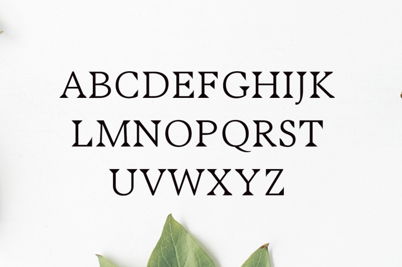 maddex-serif-font-family