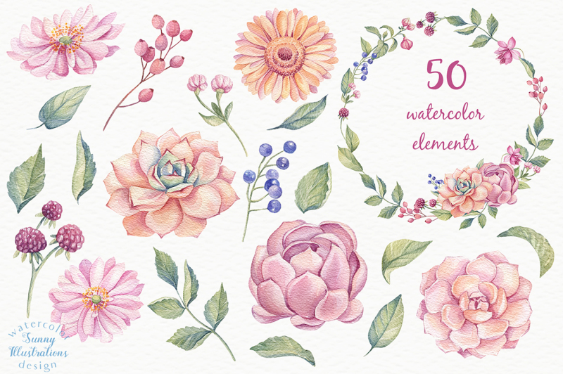 watercolor-succulents-design-set