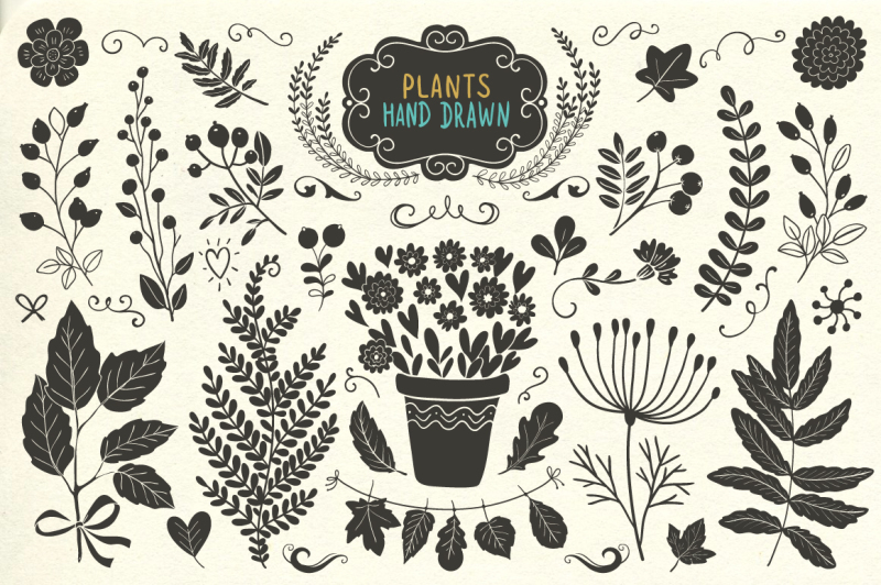 hand-drawn-animals-and-plants